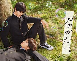 泛页面关键词3310